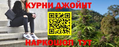 индика Ливны