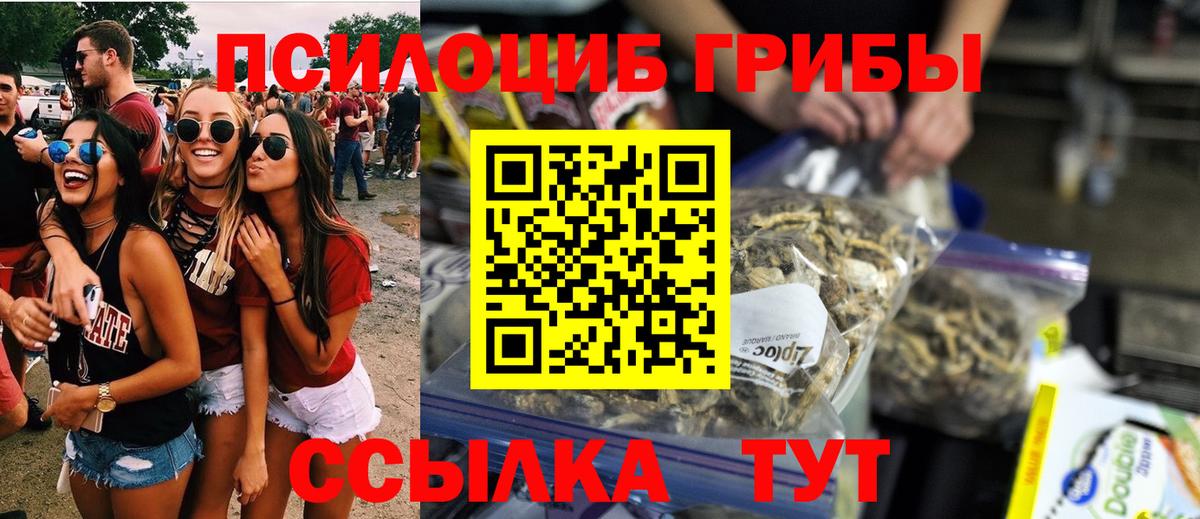 Дивногорск  Псилоцибиновые грибы прущие грибы  Псилоцибиновые грибы Magic Shrooms  Вход с VPN 