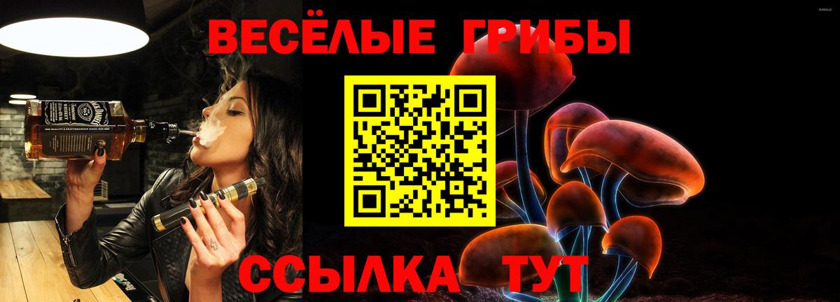 Псилоцибиновые грибы GOLDEN TEACHER Дивногорск